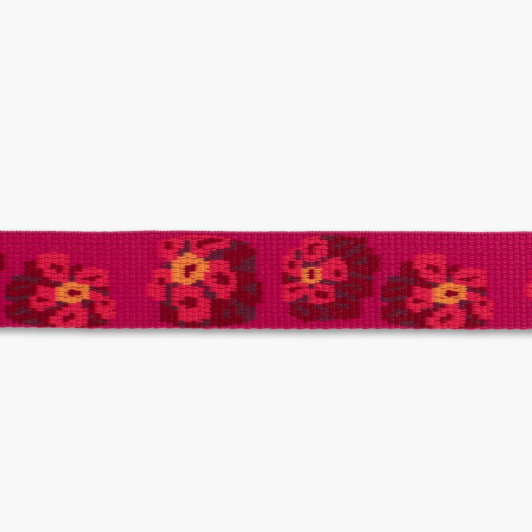 Ruffwear Flat Out Alpenglow Burst Dog Collar – Durable Comfort for Active Dogs The Stately Hound