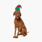 Santa's Little Helper Elf Hat for Dogs – Festive & Comfortable Holiday Accessory The Stately Hound