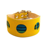 Shuka Blue Yellow Leather Whippet & Greyhound Collar - UK Made The Stately Hound