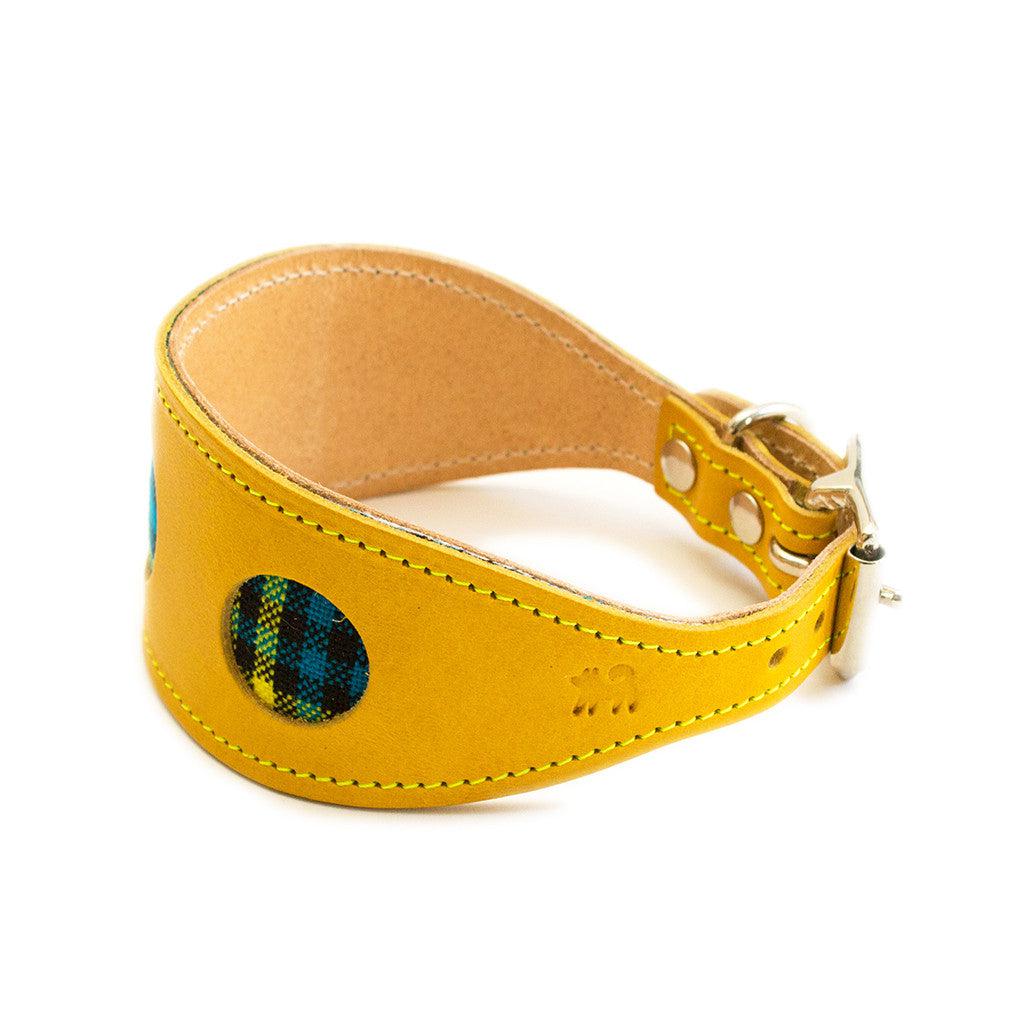Shuka Blue Yellow Leather Whippet & Greyhound Collar - UK Made