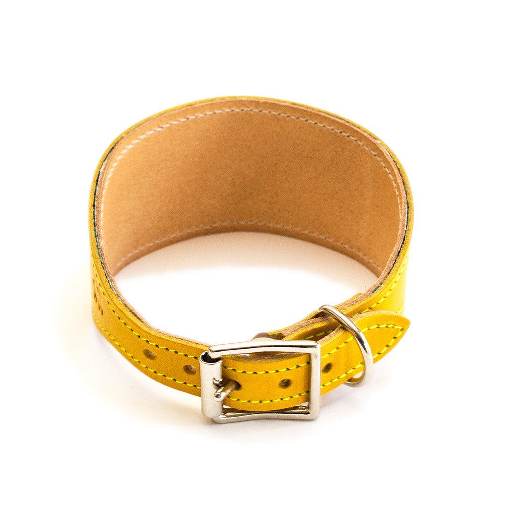 Shuka Blue Yellow Leather Whippet & Greyhound Collar - UK Made