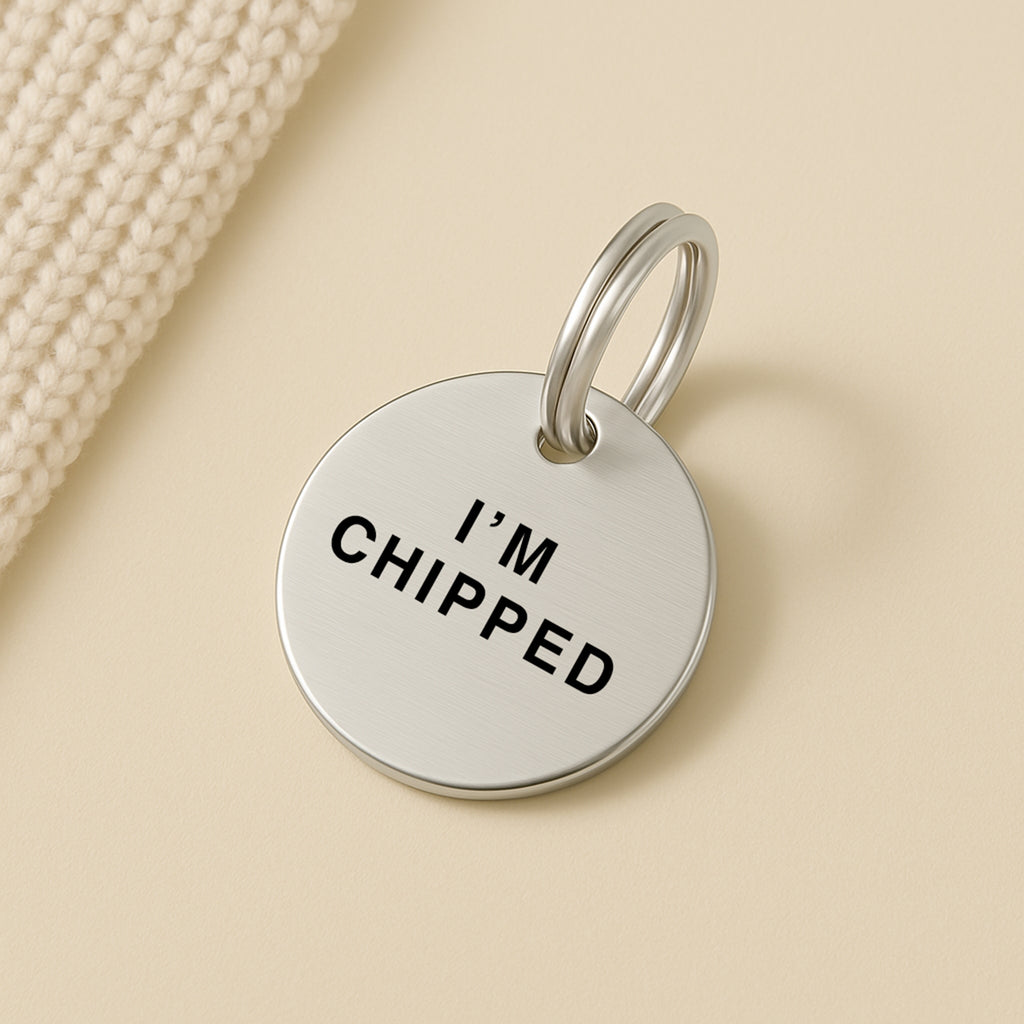Silver Stainless Steel Dog Collar Tag with Engraved "I'm Chipped" and Custom Contact Details