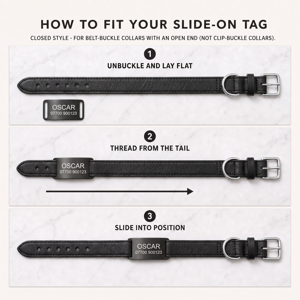 Three step guide to threading a slide-on dog tag onto a belt-buckle collar