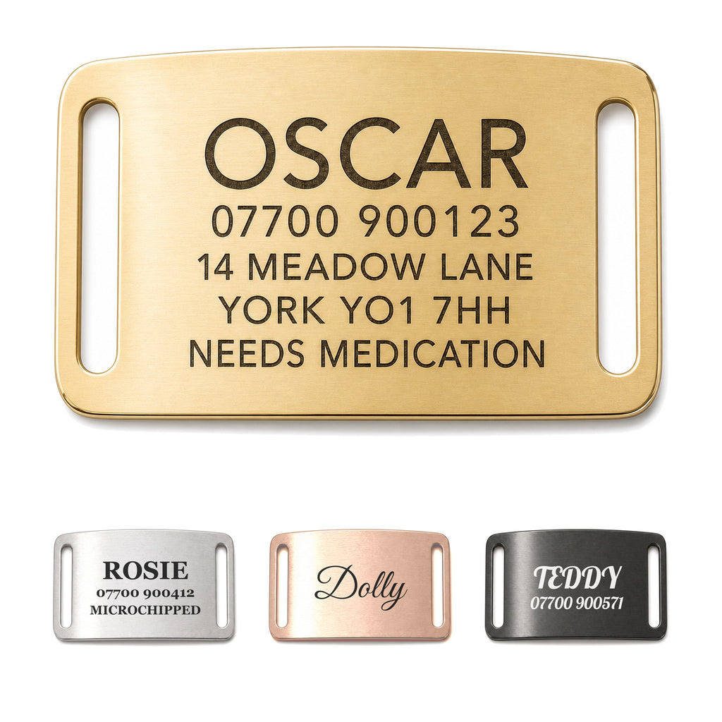 Personalised gold slide-on dog tag, brushed stainless steel collar name plate, shown in all four finishes