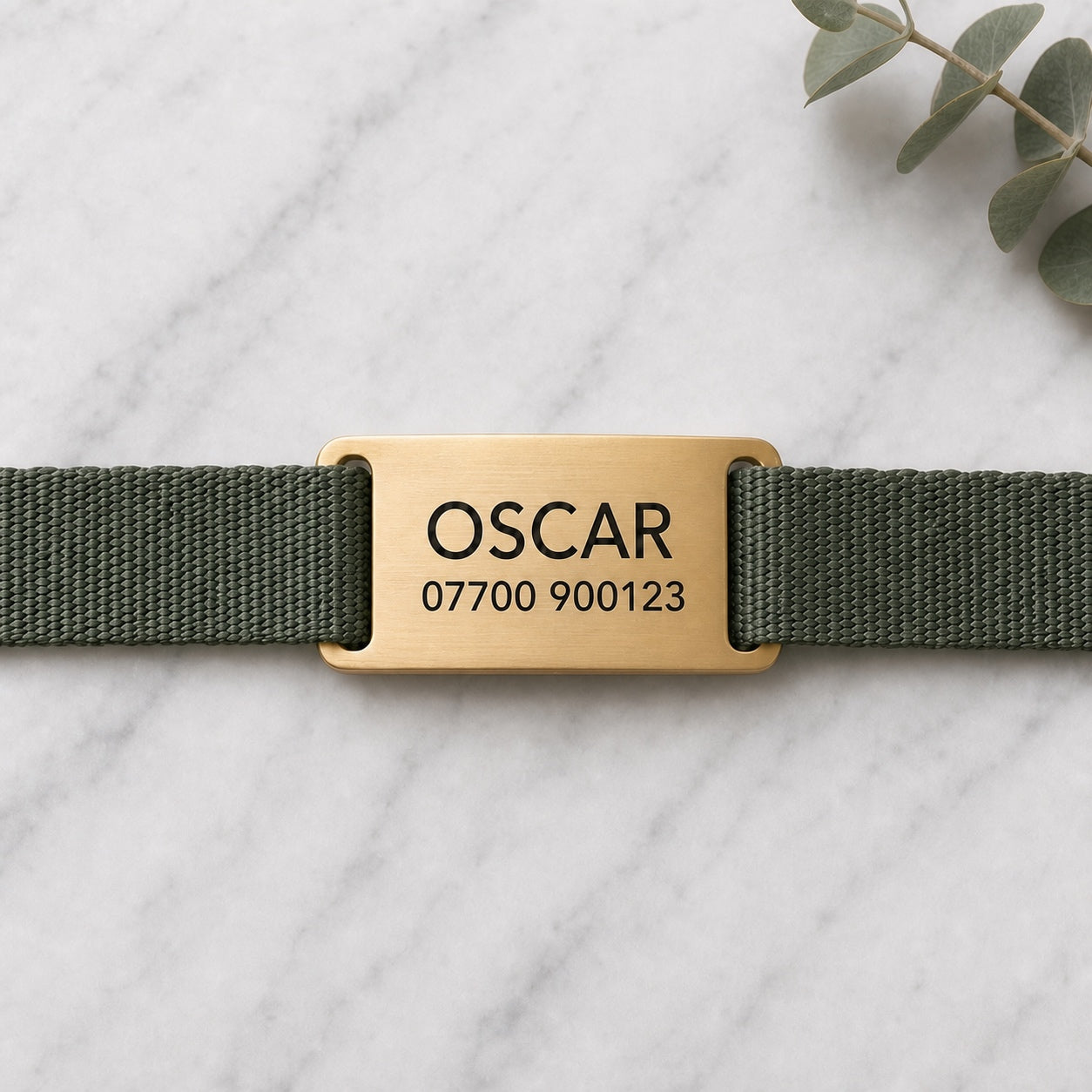 Close-up of the brushed gold slide-on tag threaded onto a collar strap
