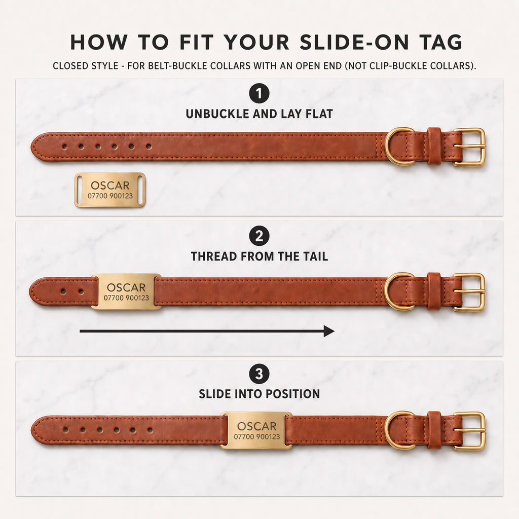 Three step guide to threading a slide-on dog tag onto a belt-buckle collar