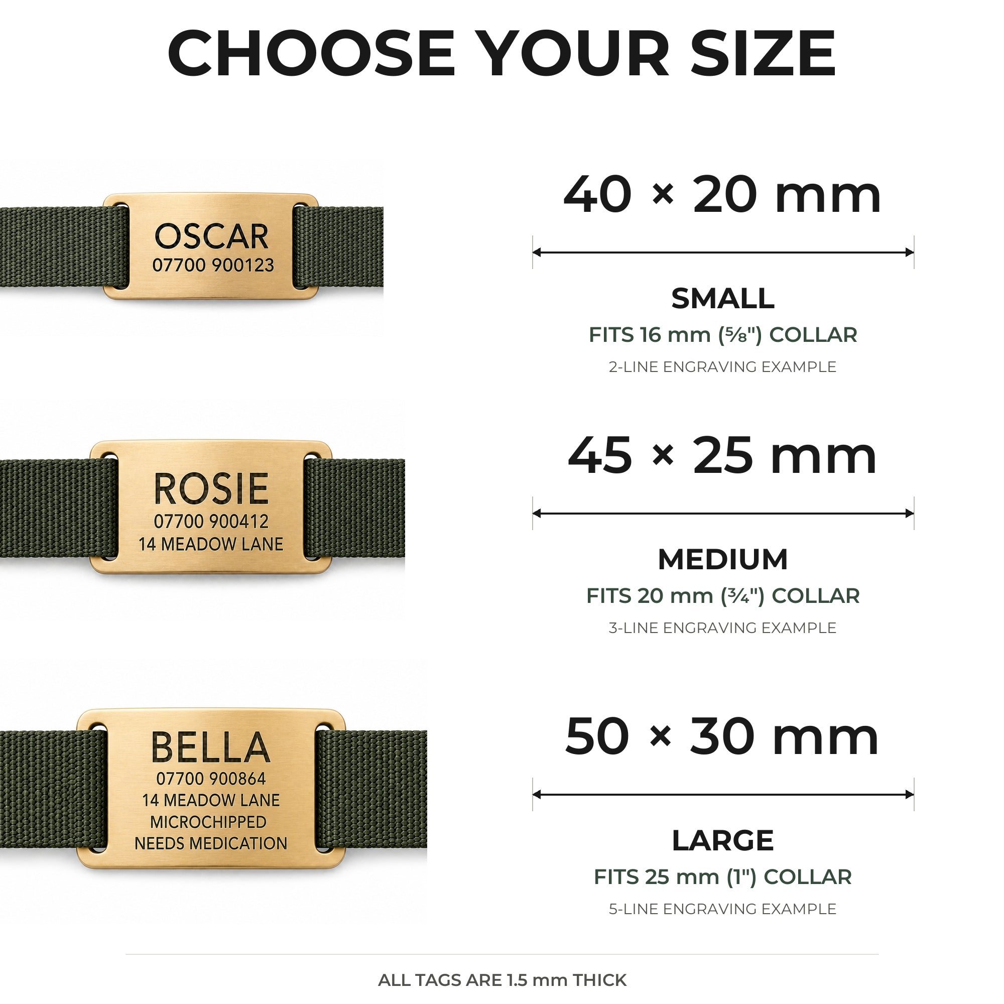 Size guide for the gold slide-on dog tag, 40x20mm, 45x25mm and 50x30mm