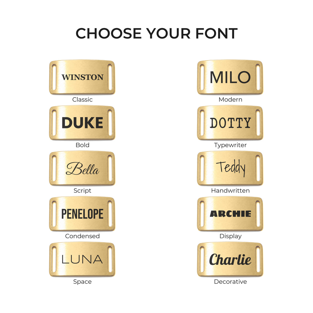 The ten engraving fonts available on the gold slide-on dog tag