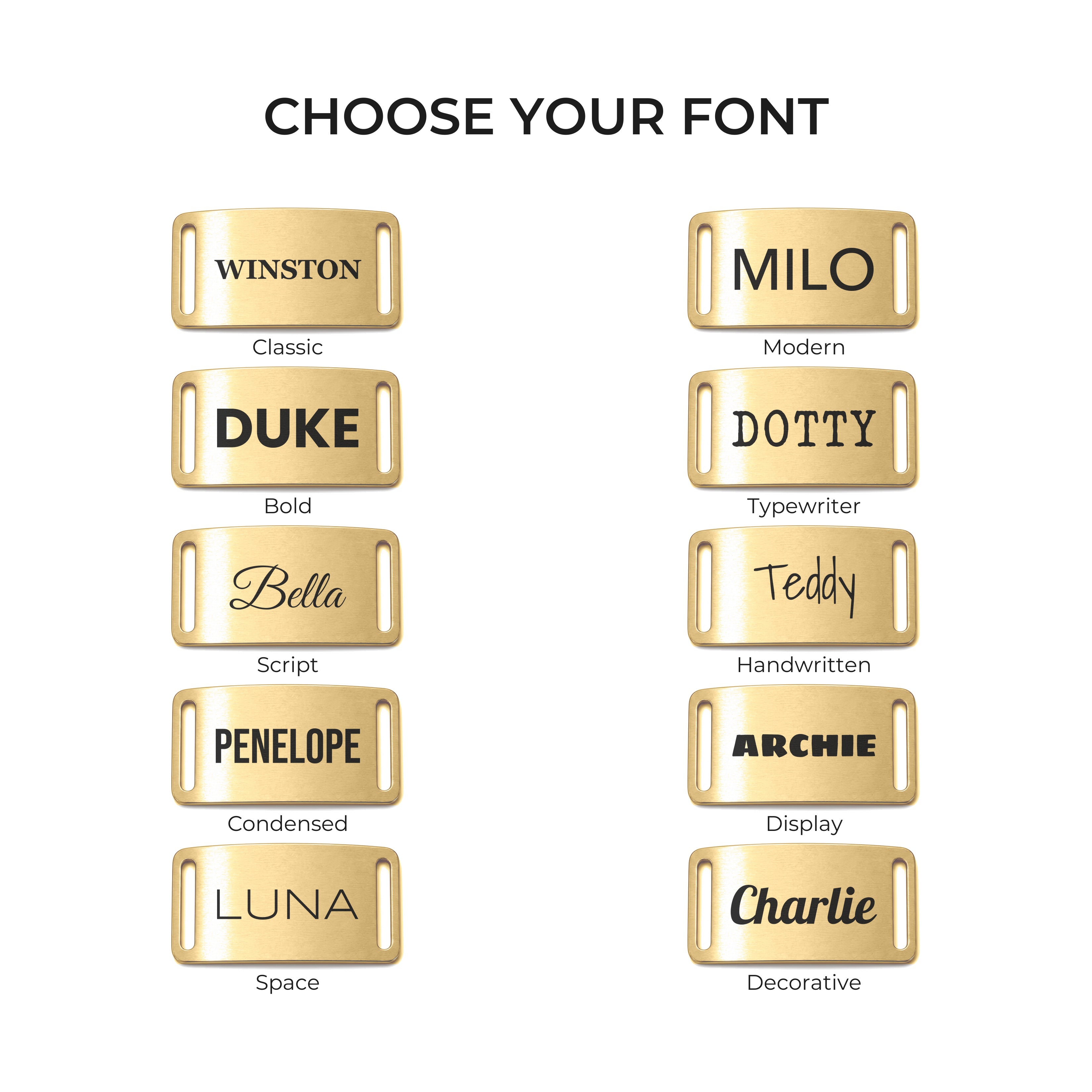 The ten engraving fonts available on the gold slide-on dog tag