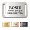 Personalised silver slide-on dog tag, brushed stainless steel collar name plate, shown in all four finishes