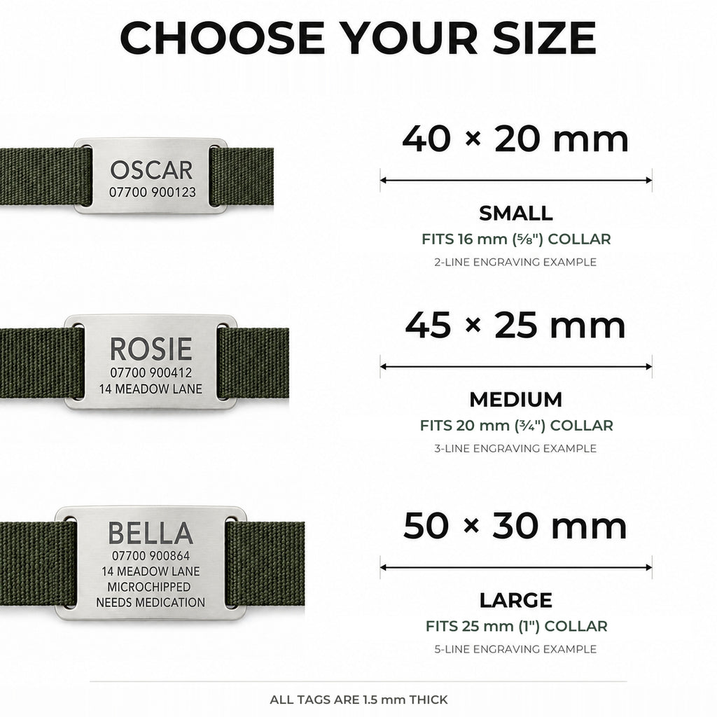 Size guide for the silver slide-on dog tag, 40x20mm, 45x25mm and 50x30mm