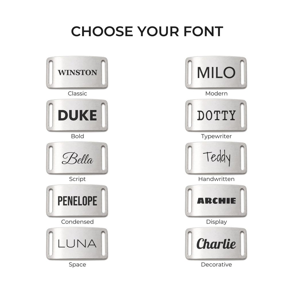 The ten engraving fonts available on the silver slide-on dog tag