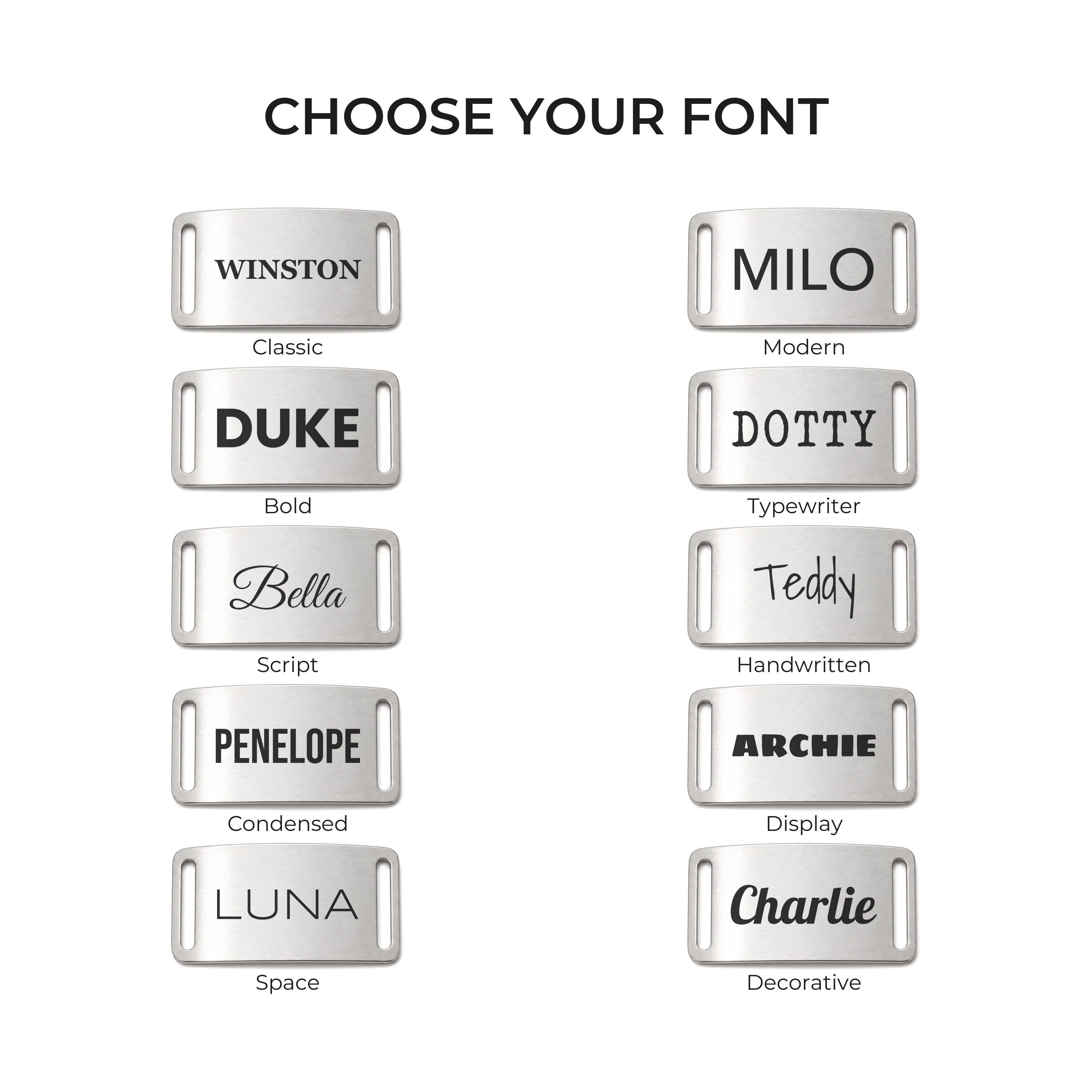 The ten engraving fonts available on the silver slide-on dog tag