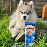 Soopa Apple & Blueberry Dental Sticks - Natural Dog Treats