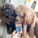 Soopa Apple & Blueberry Dental Sticks - Natural Dog Treats