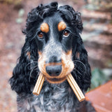 Soopa Kale & Apple Dental Sticks - Natural Dog Treats