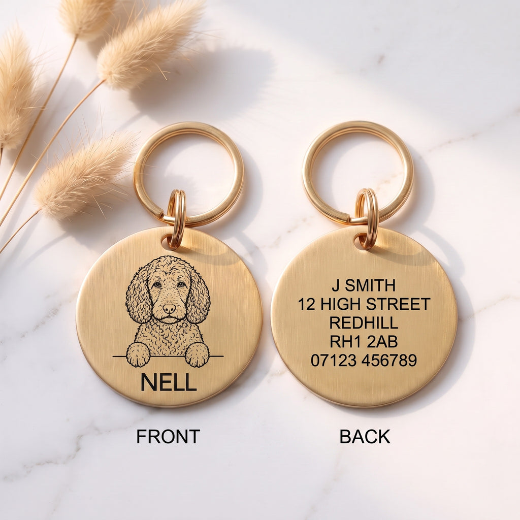 Front and back of the Sproodle dog tag: breed design and name on the front, contact details on the back