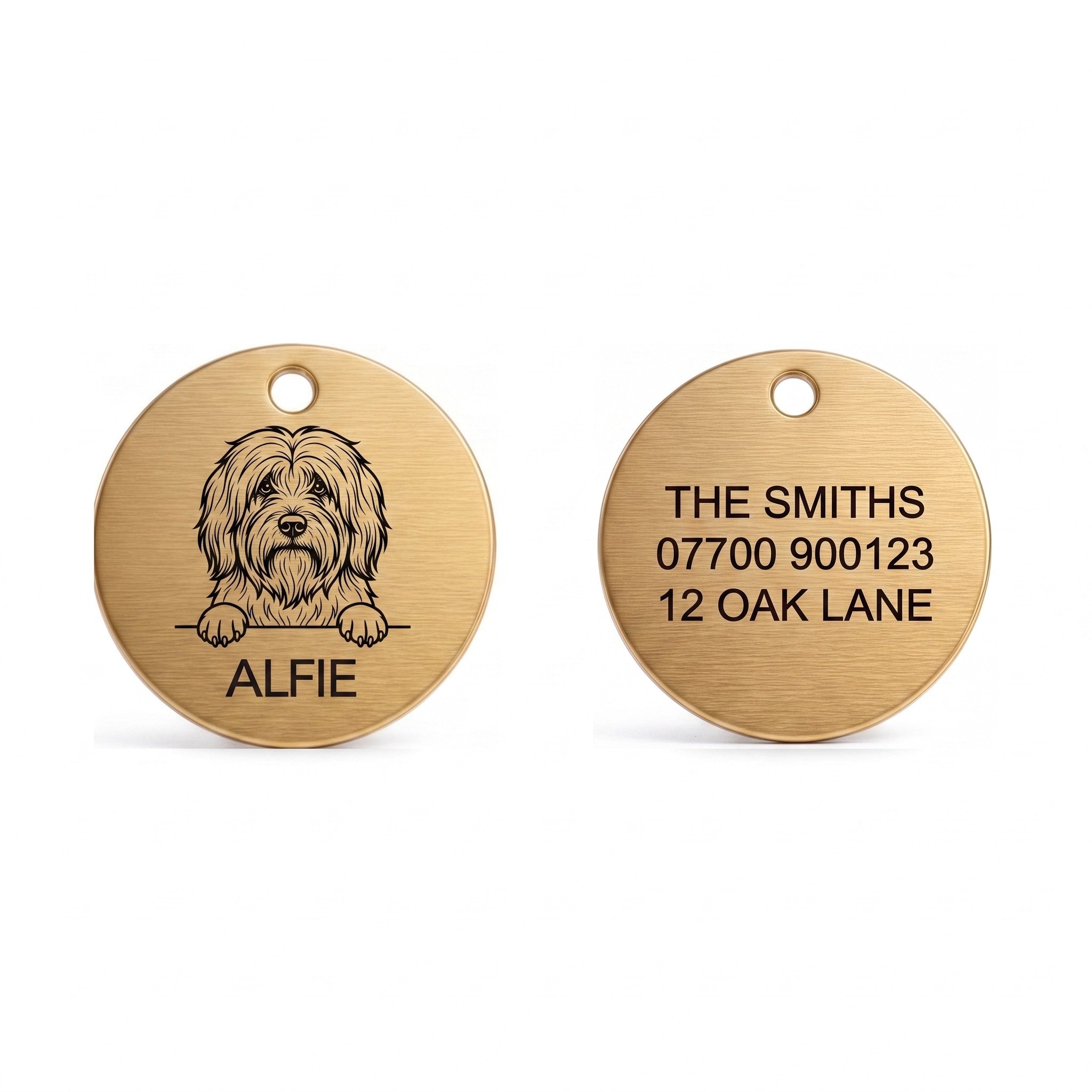 Front and back of the Tibetan Terrier dog tag: breed design and name on the front, contact details on the back
