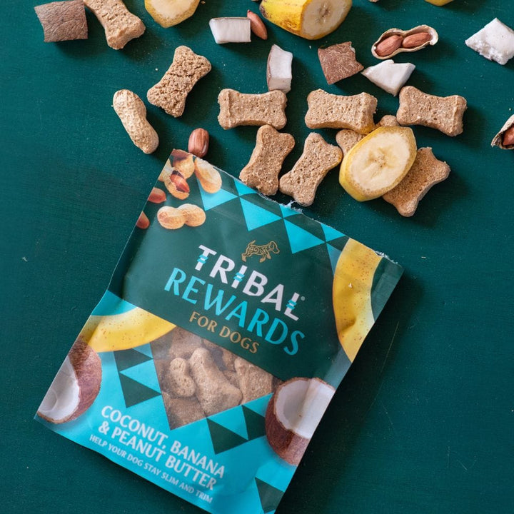 Tribal Rewards 'Coconut, Banana & Peanut Butter' Oven-Baked, Meat-Free Dog Treats