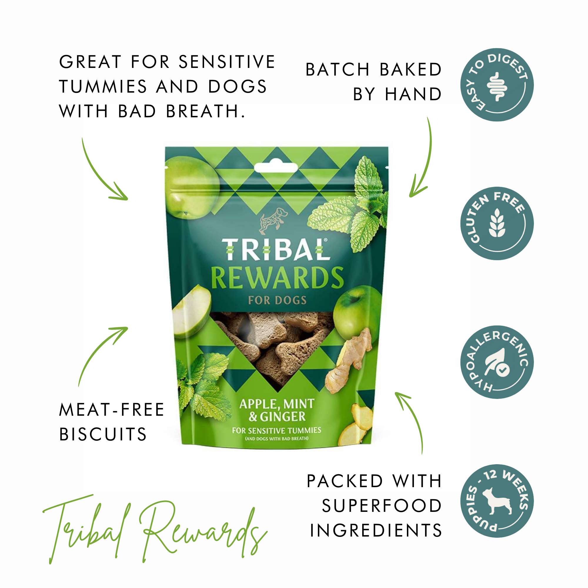 Tribal Rewards for Dogs – Apple, Mint & Ginger Treats 125g The Stately Hound