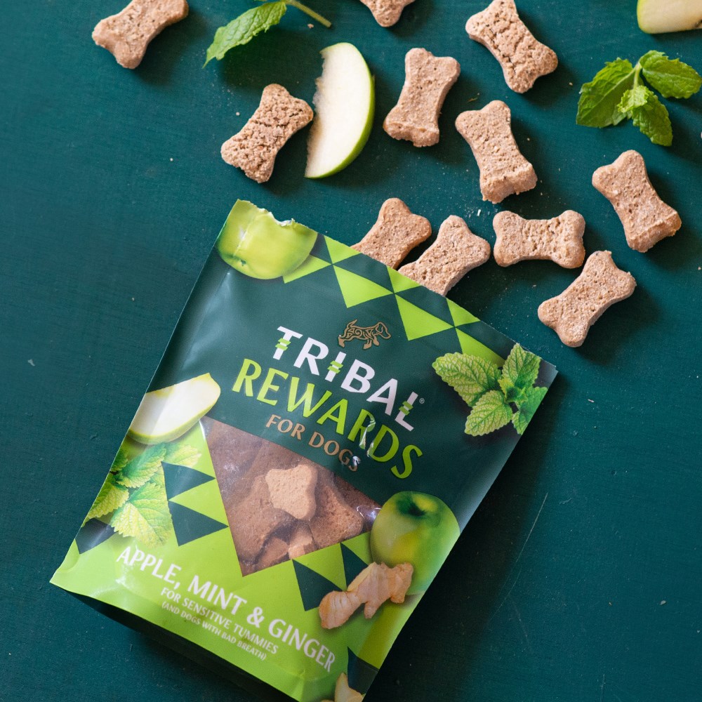 Tribal Rewards for Dogs – Apple, Mint & Ginger Treats 125g The Stately Hound