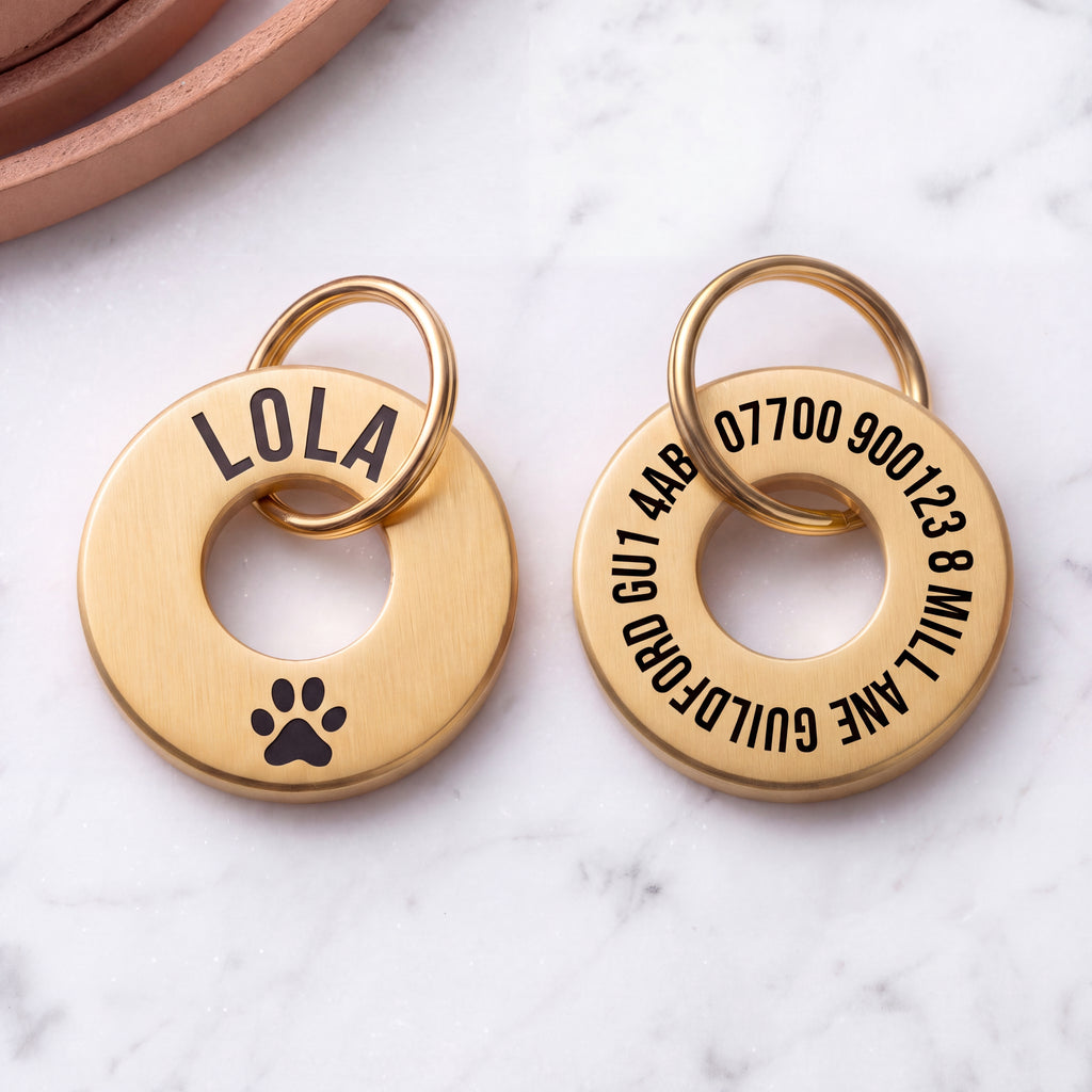 Front and back of the gold washer dog tag - name and symbol on the front, contact details on the back