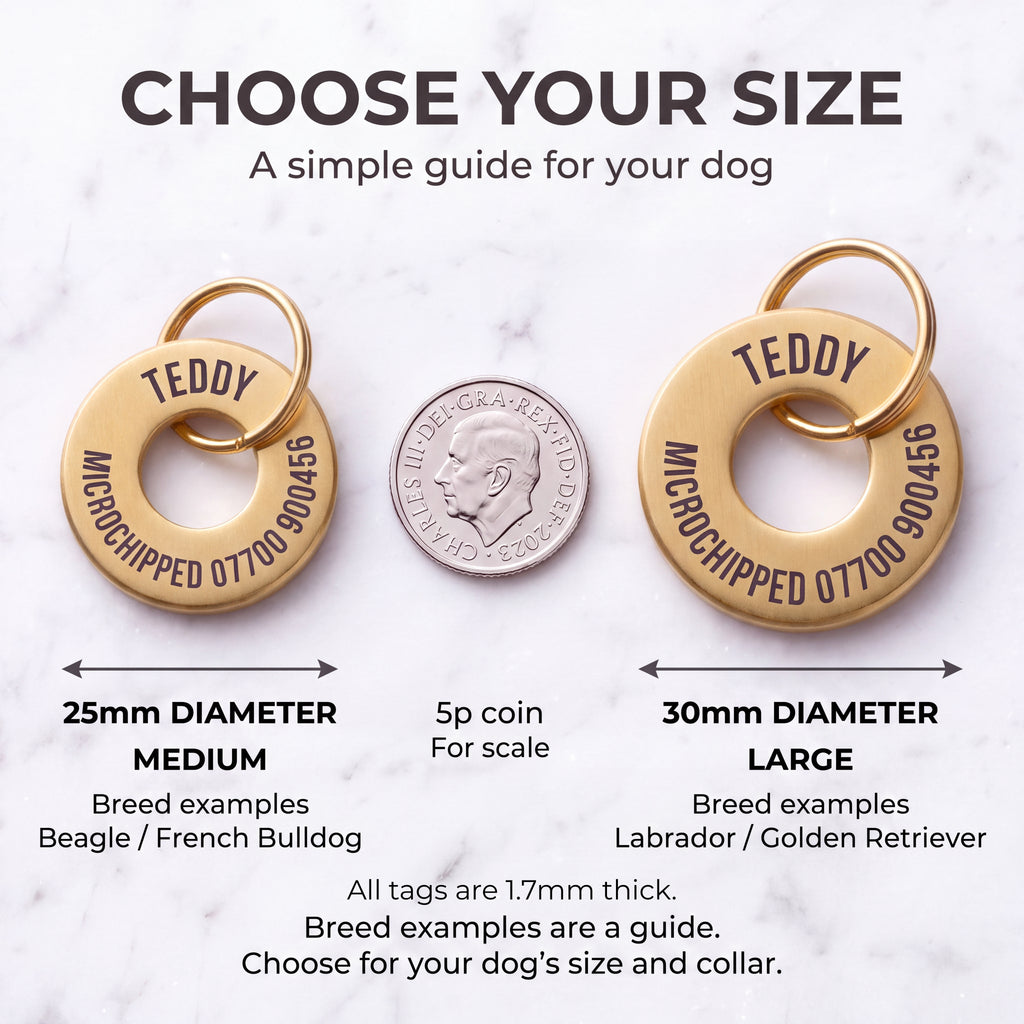 Size guide for the gold washer dog tag - 25mm medium and 30mm large, 1.7mm thick
