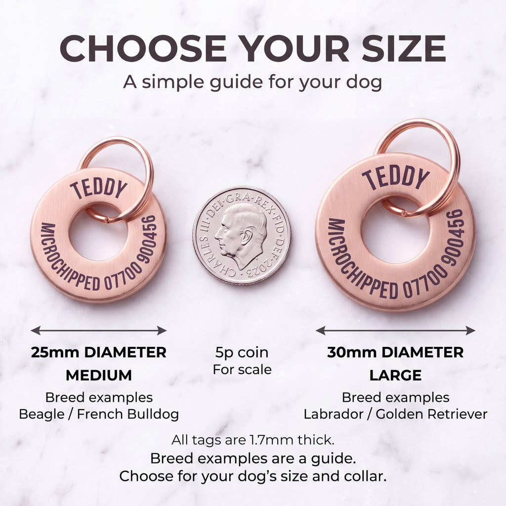 Size guide for the rose gold washer dog tag - 25mm medium and 30mm large, 1.7mm thick