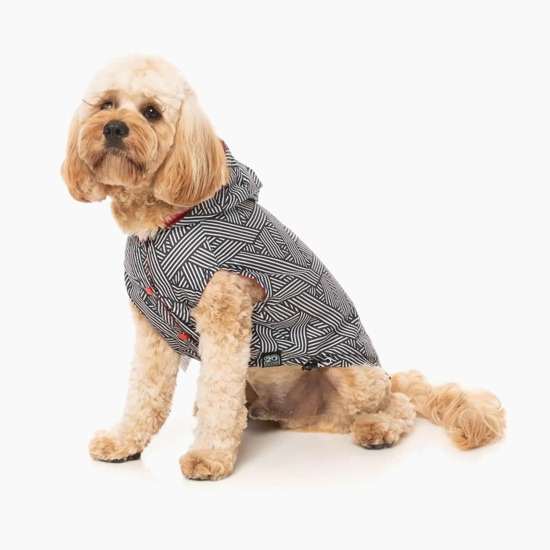 Waterproof Dog Coat | Ultimate Protection & Style for Rainy Days