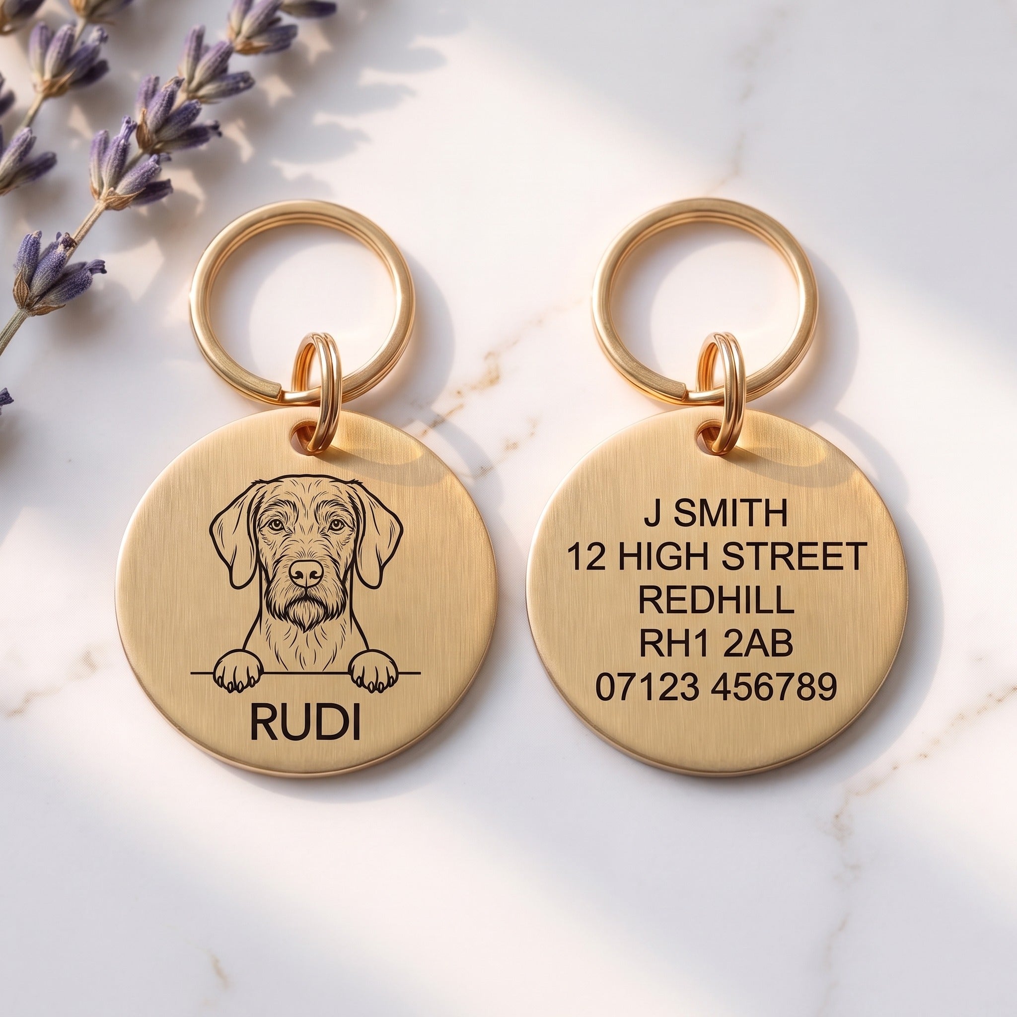 Front and back of the Wire Haired Vizsla dog tag: breed design and name on the front, contact details on the back