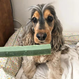 W’ZIS? Fang Dog Dental Chews | Natural, Plant-Based Dental Care for Fresh Breath The Stately Hound