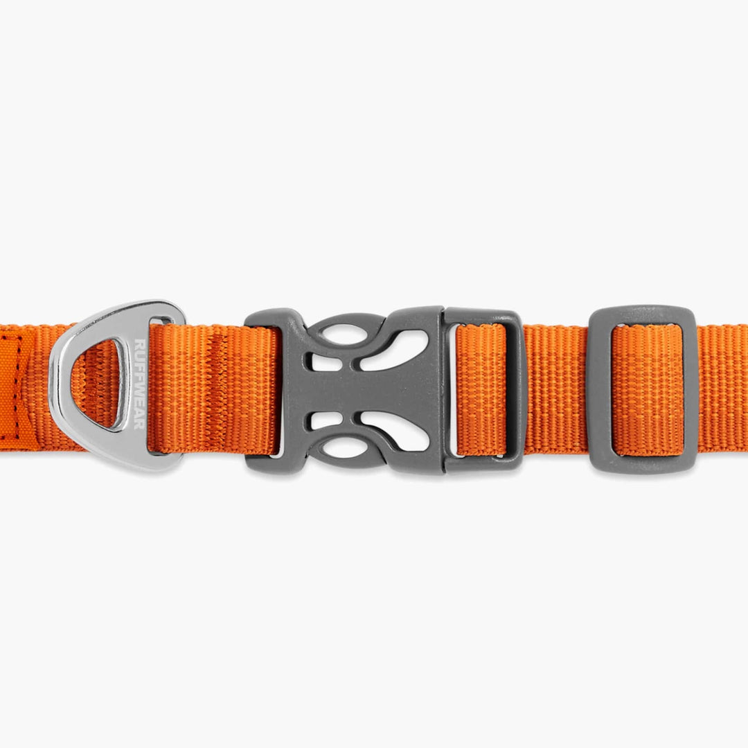 Ruffwear Front Range Dog & Puppy Collar in Campfire Orange