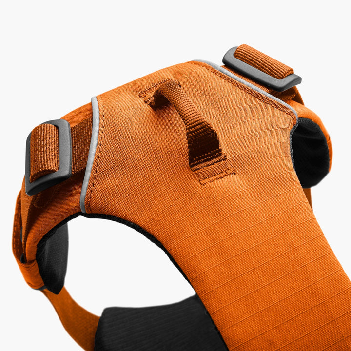 Ruffwear Front Range Dog Harness: Campfire Orange, Durable and Adjustable