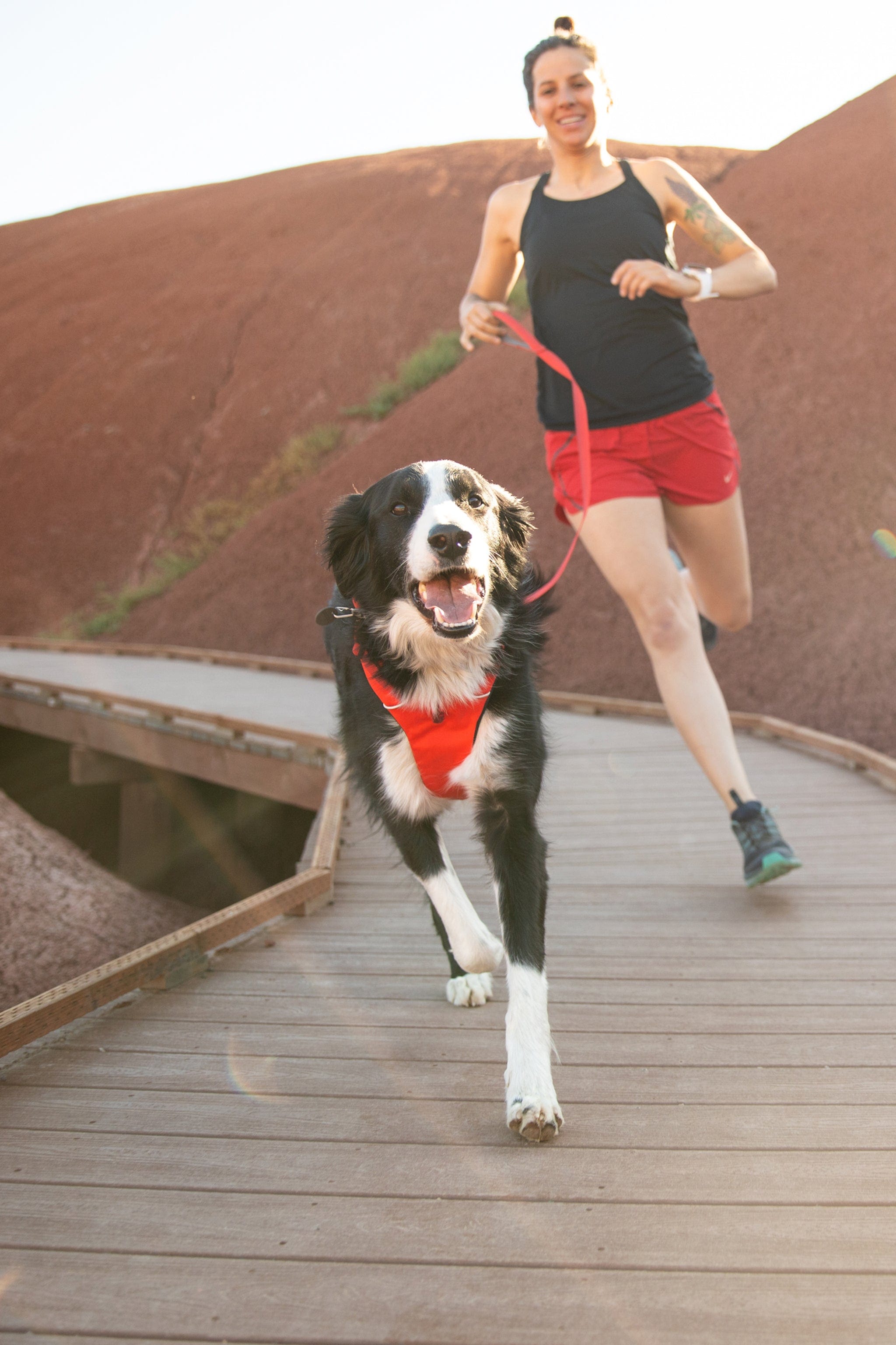 Ruffwear Front Range Red Sumac Dog Harness Lightweight Comfortable