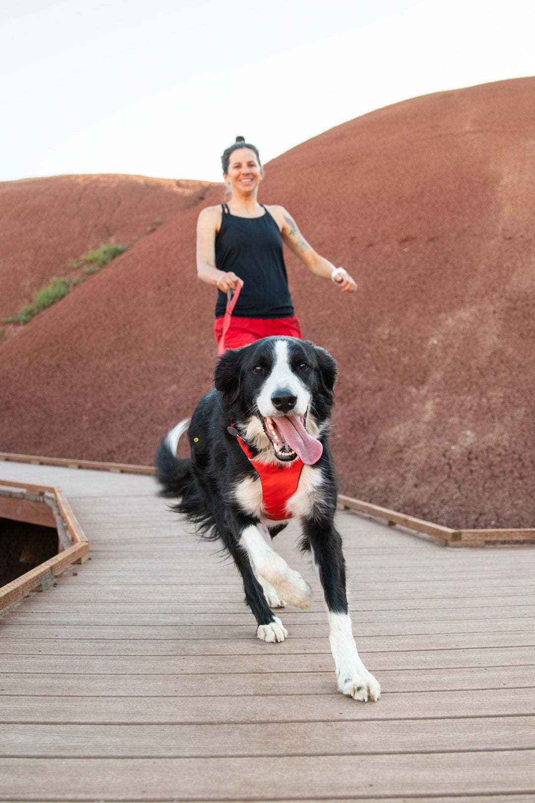 Ruffwear Front Range Harness: Lightweight, Comfortable, and Easy-to-Use Harness in Red Sumac