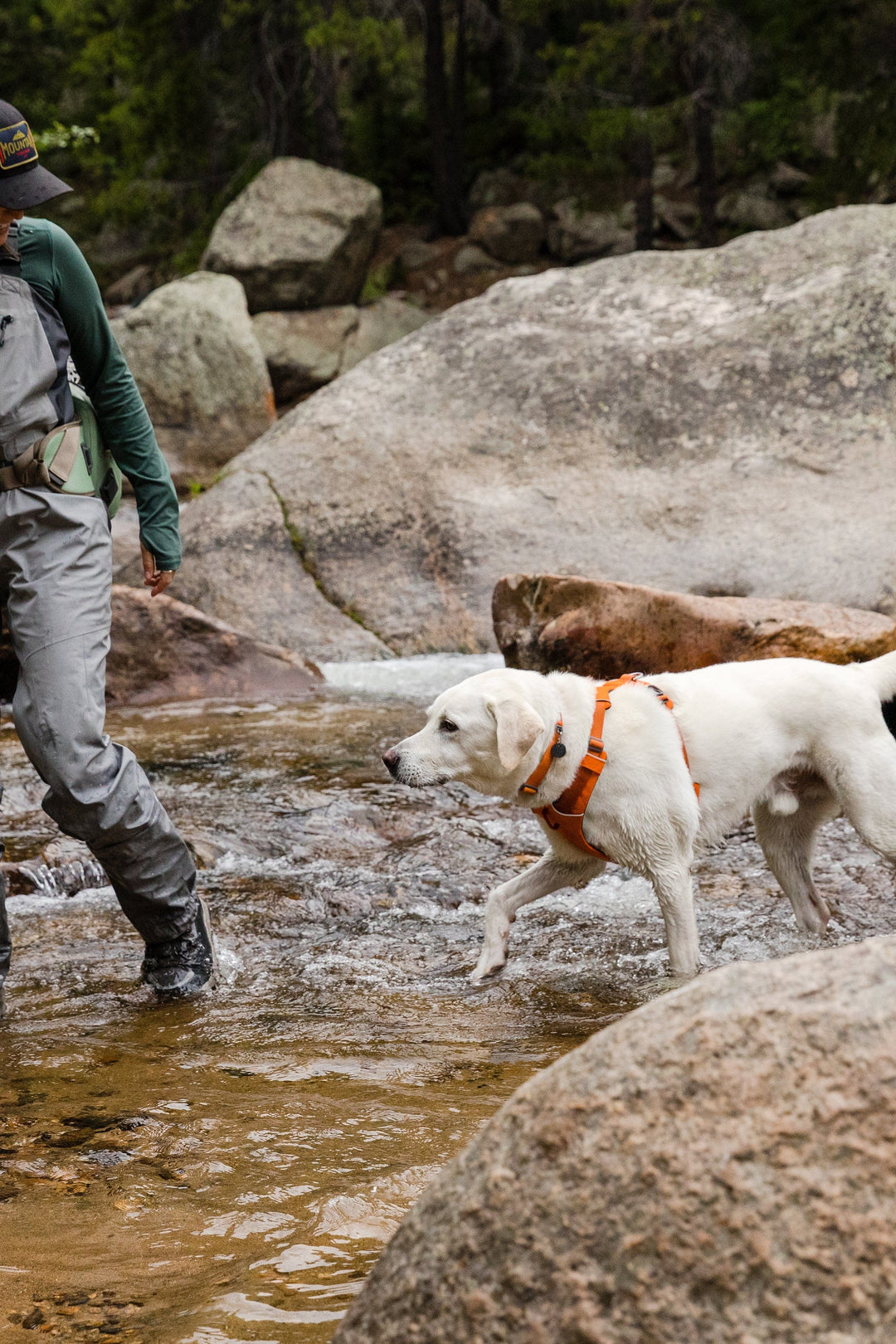 Ruffwear Front Range Dog Harness: Campfire Orange, Durable and Adjustable