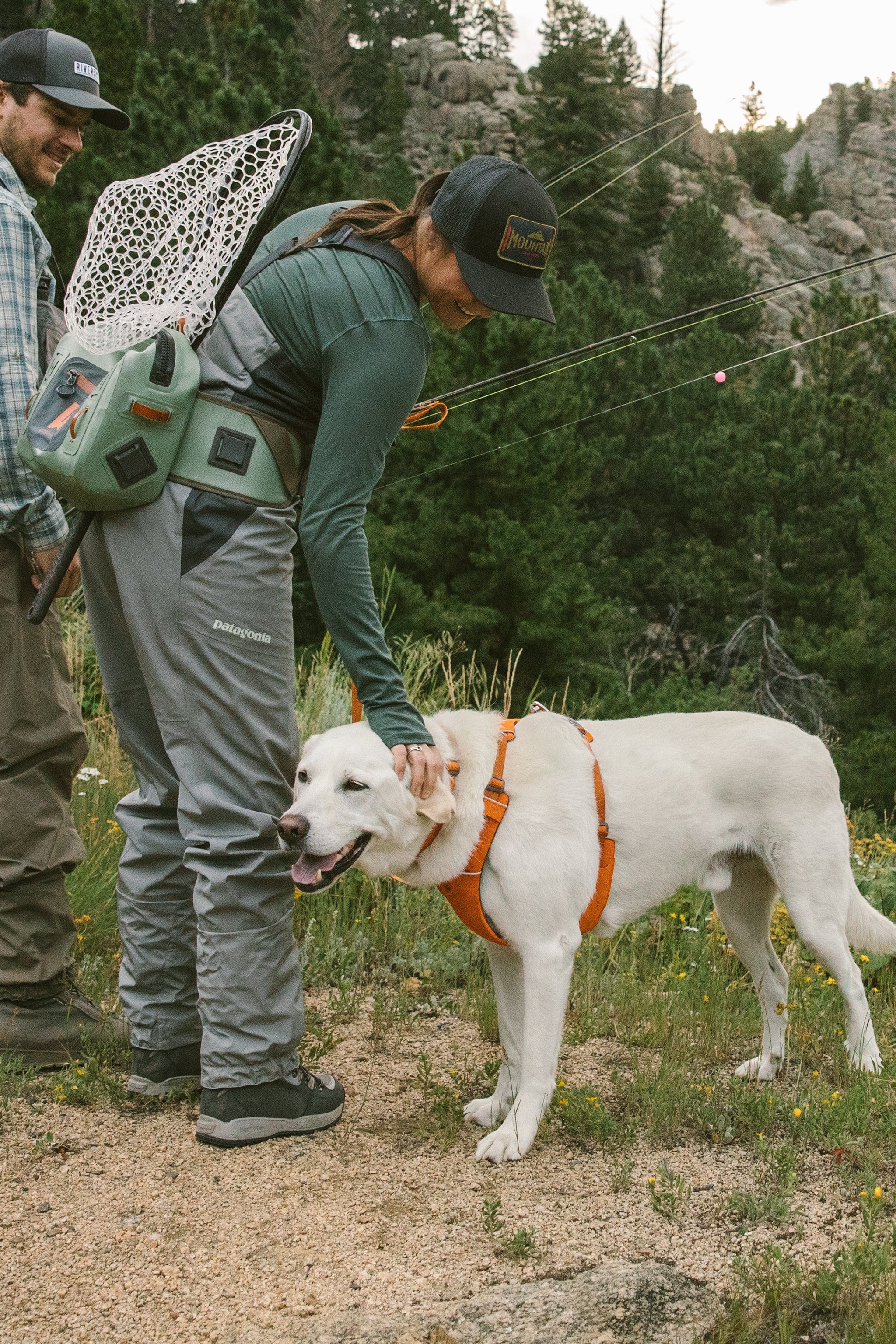 Ruffwear Front Range Harness The Safe and Secure Way to Walk Your Dog