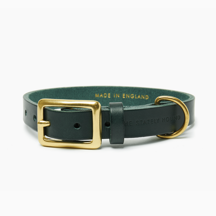 Personalised Green Leather Dog Collar with Solid Brass Buckle - Handcrafted in the UK