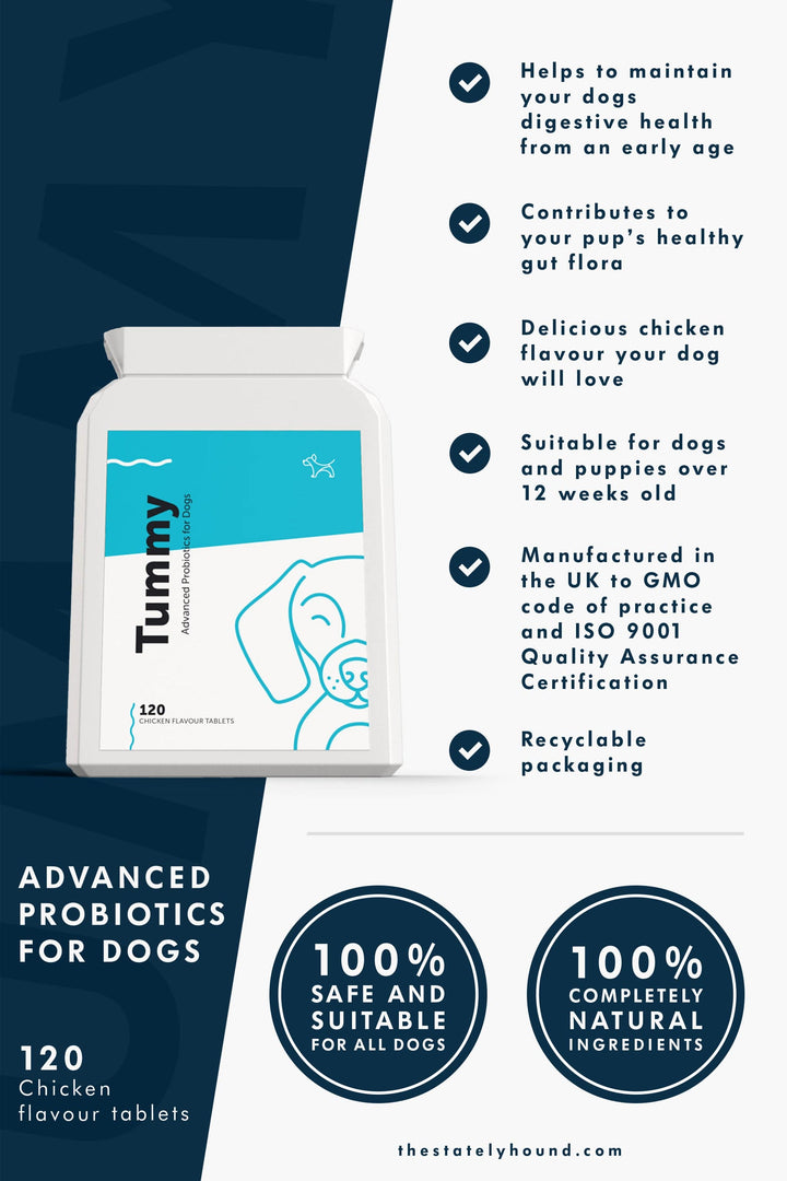 Probiotic and Prebiotic Supplement for Dogs and Puppies