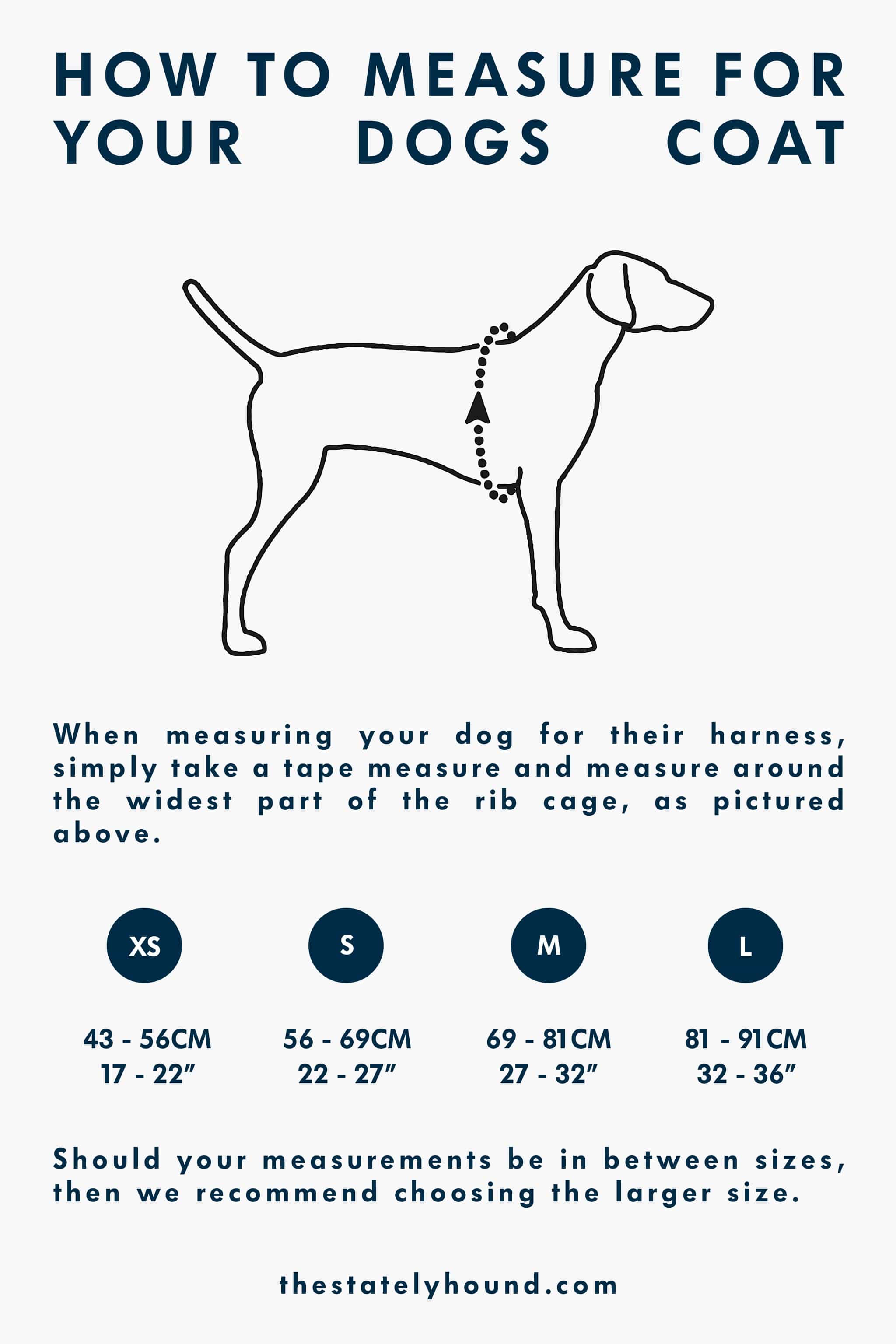 Measure puppy hotsell for harness