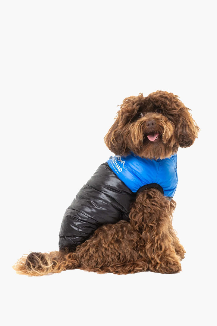 Waterproof Dog Coat, Blue Puffer Jacket