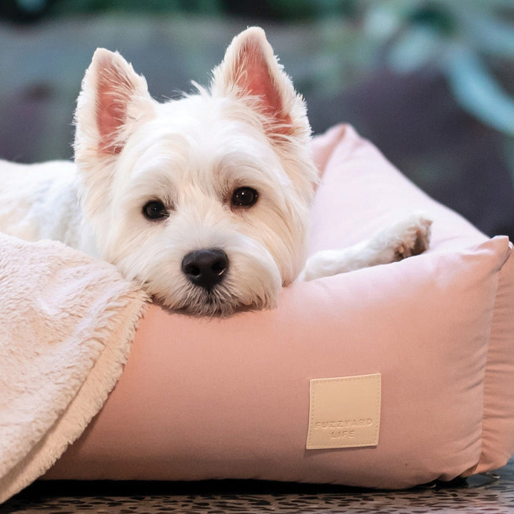 FuzzYard Blush Pink Corduroy Dog Bed, Luxurious Plush Bolster Design