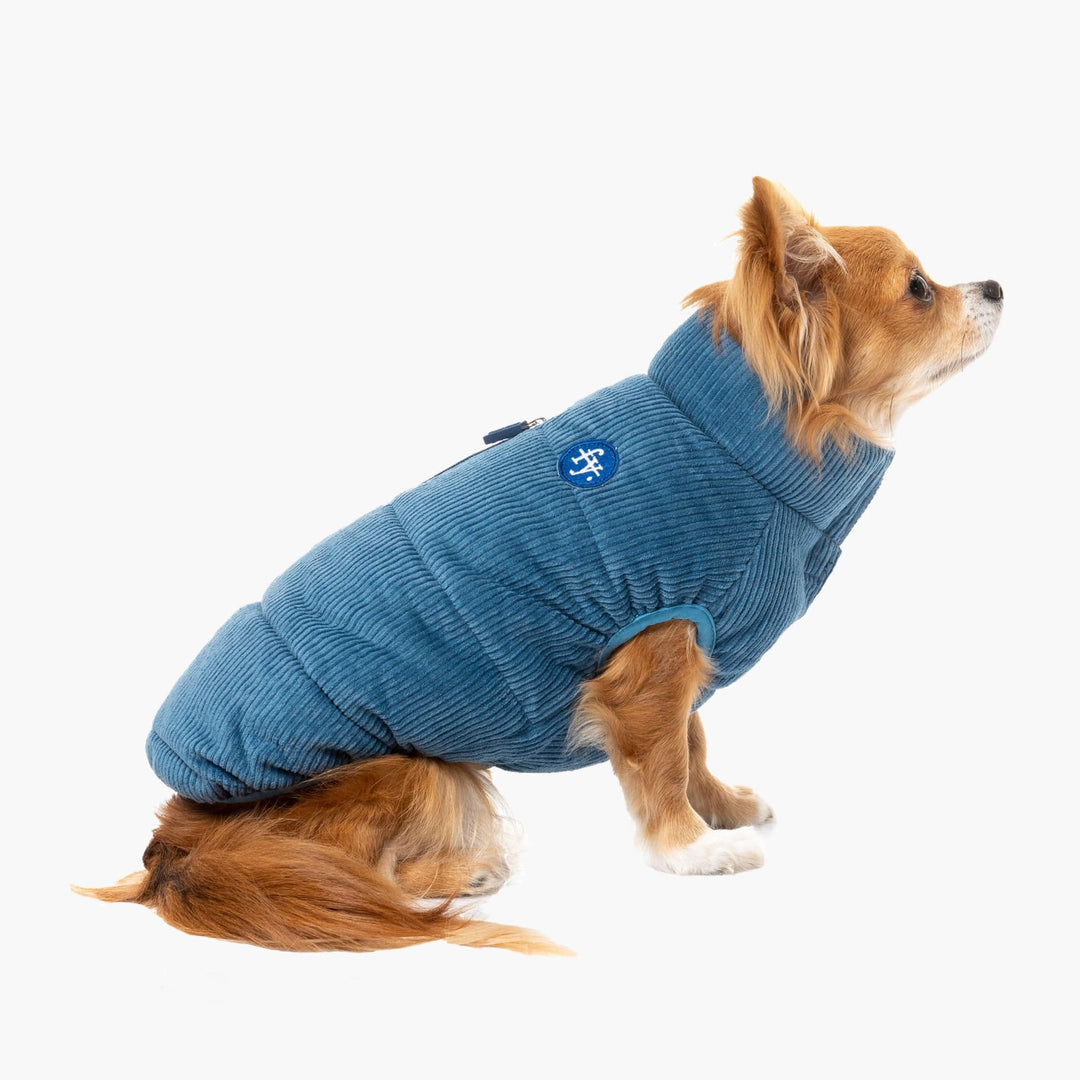 FuzzYard Washed Blue Mosman Corduroy Dog Puffer Jacket