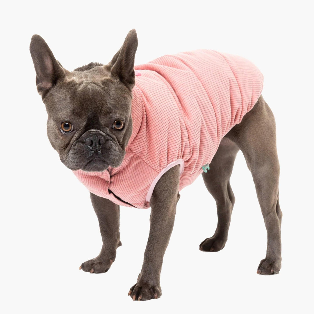 FuzzYard Pink Mosman Corduroy Dog Puffer Jacket
