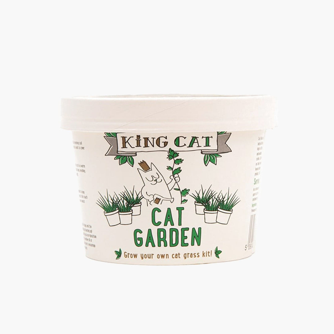 Indoor Cat Garden Grass Kit