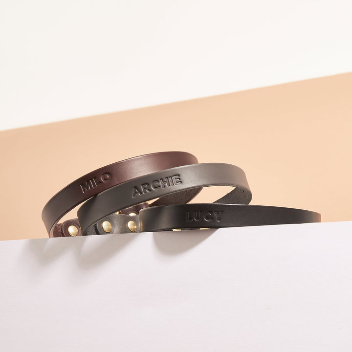 Brass Riveted Leather Dog Collar in Chestnut Brown