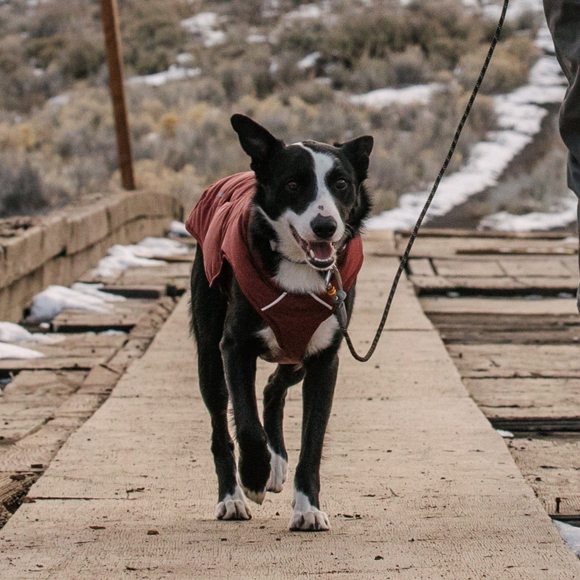 Ruffwear Dog Coat Quinzee Jacket in Fired Brick