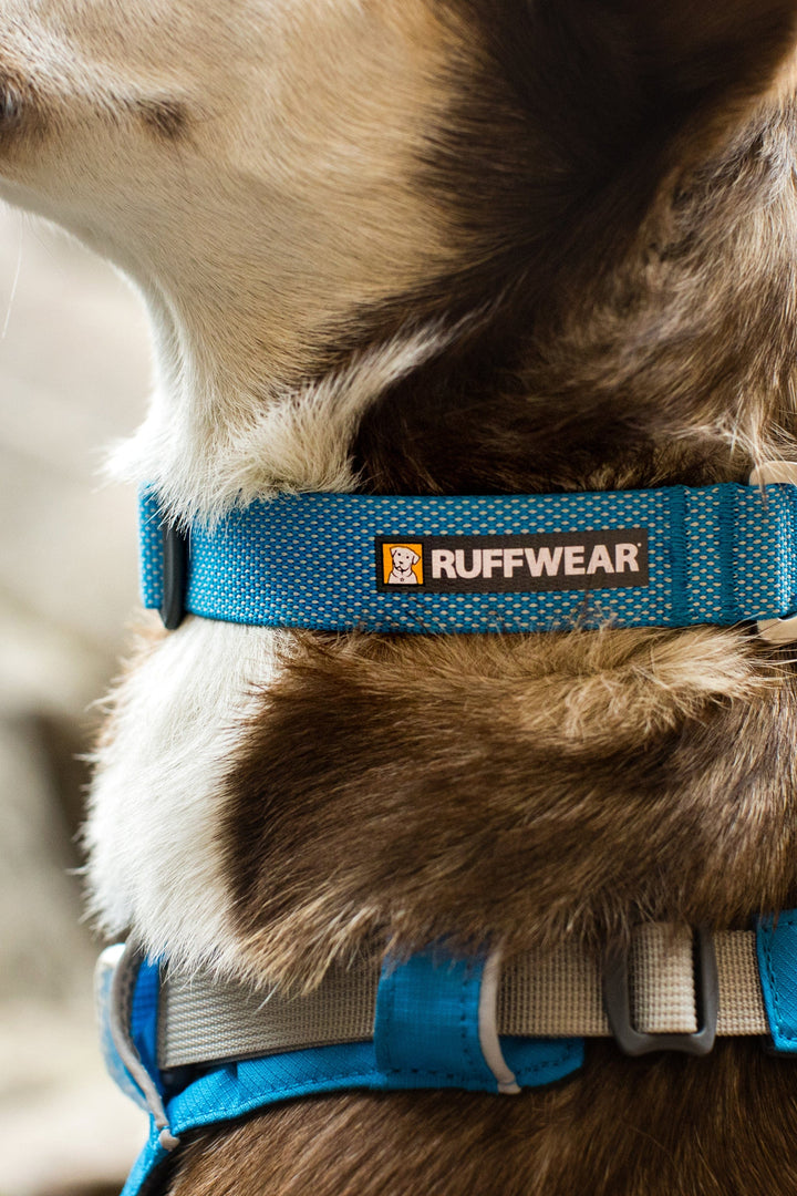Ruffwear Hi & Light Lightweight Dog Collar in Blue Dusk
