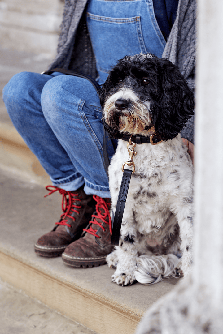 Luxury Black Leather Dog Lead & Stitch Detailing, Handmade in the UK