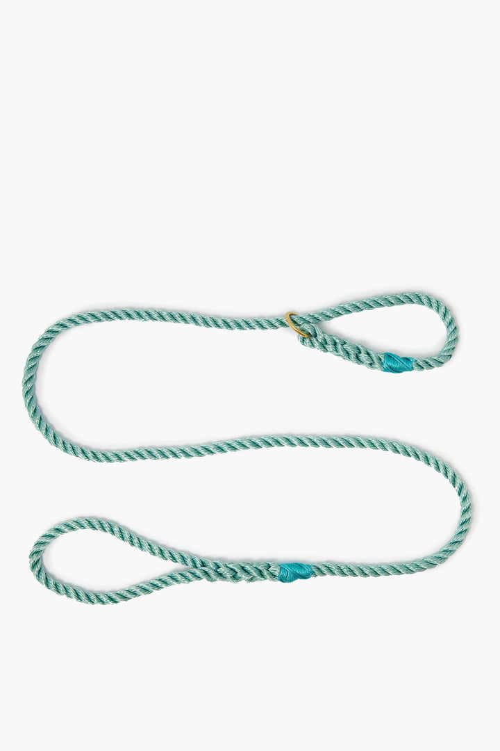Rope dog slip lead for gundogs and training in seafoam green, 5ft long